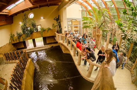 Hnízdní kolonie ibisů skalních v zoo ostrava se rozrostla o nové členy. - Expozice - Expozice a zvířata - Zoo Ostrava