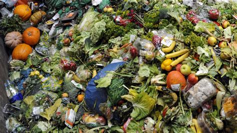 P a g e | 36. Initiative aims to reduce food waste in Ireland