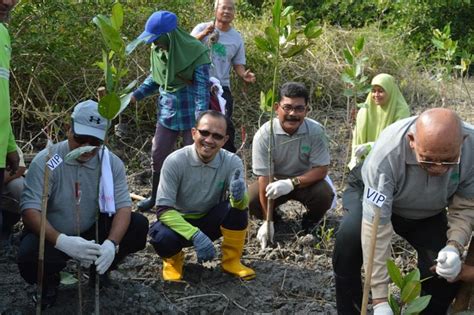 Program Penanaman Pokok Bakau Dan Pemulihan Alam Sekitar