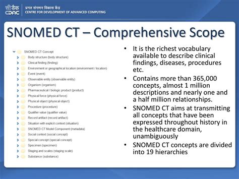PPT SNOMED CT A Technologist S Perspective PowerPoint Presentation