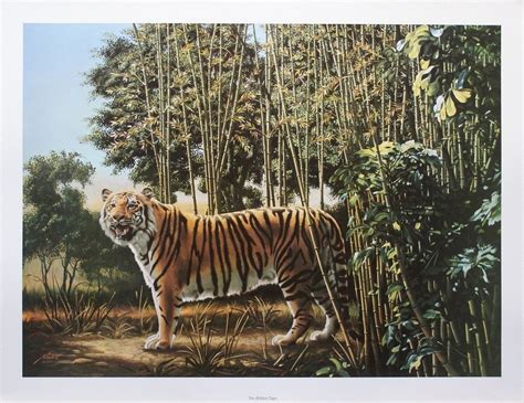 The Hidden Tiger Illusion Can You Se The Hidden Tiger Fun