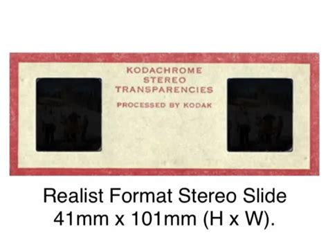 VINTAGE 3D STEREO Realist Slide Topless Nude Glamour Erotic Photo