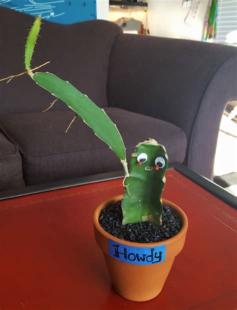 Image.jpg (51.01 kib) viewed 12111 times. My cactus has recently grown a new "arm" with roots ...