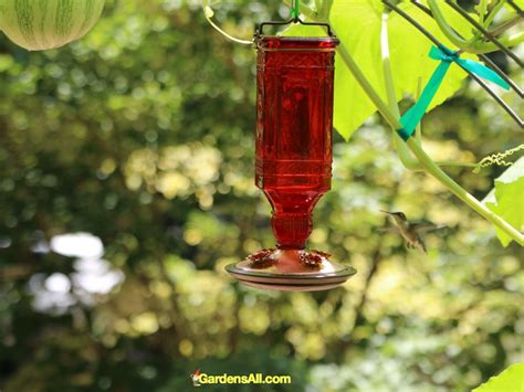 Replacement hummingbird flowers 4 pack hf4. Picking the Best Hummingbird Feeders | GardensAll