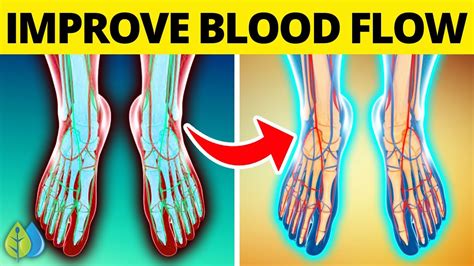 Top 10 Foods That Improve Blood Circulation In Legs Increase Blood