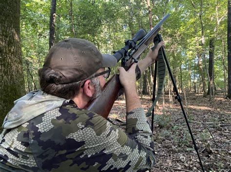 Shotguns Vs Rimfire Rifles For Squirrel Hunting Outdoor Life
