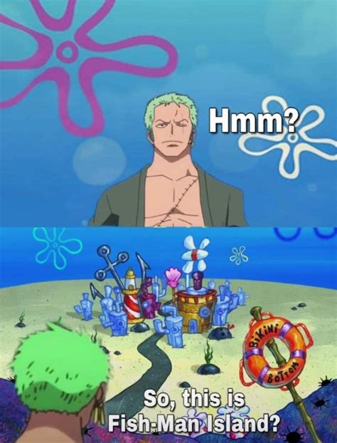 Zoro Is Lost Again One Piece One Piece Funny One Piece Meme Manga