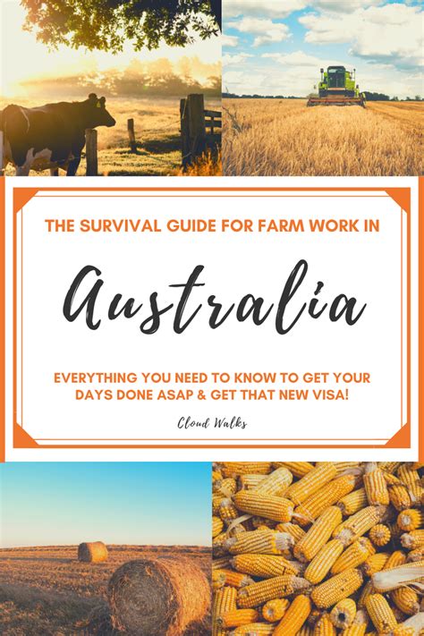 88 Days Of Farm Work Australia All Your Questions Answered Cloud Walks