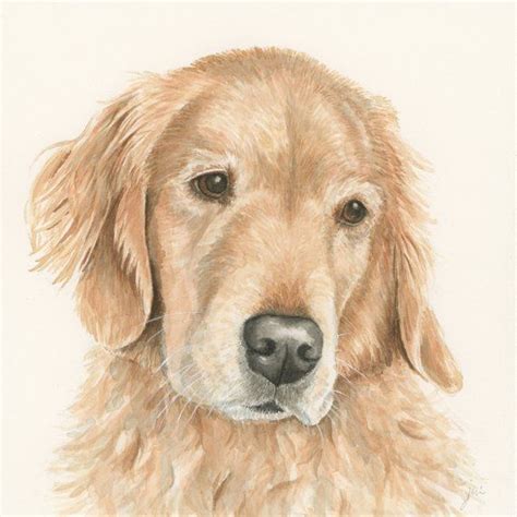 Golden Retriever Custom Pet Portrait Watercolor Painting Etsy