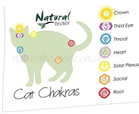 Improve Your Healing With Our Chakra Posters Pack