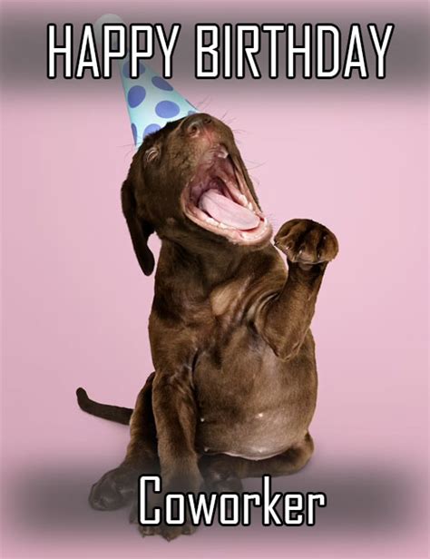 Happy Birthday Coworker Meme
