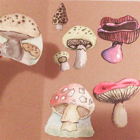 Little Mushrooms 🍄 Rdrawing