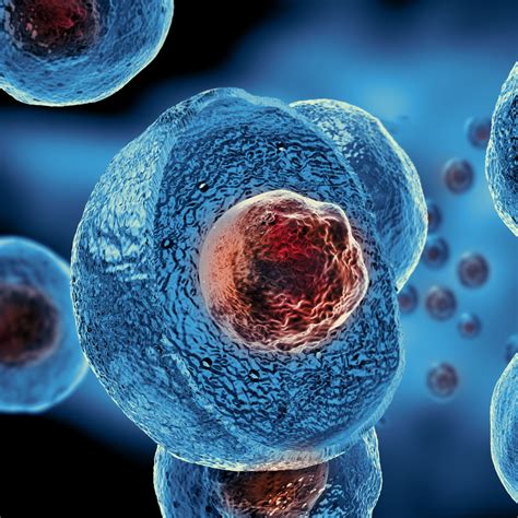 Regenerative Stem Cell Therapy In Phoenix Arizona Innate Healthcare