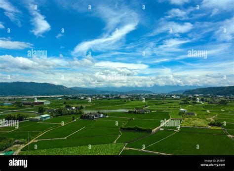 Peaceful Farmland For Rice Paddies And Lotus Farming Under A Summer Sky