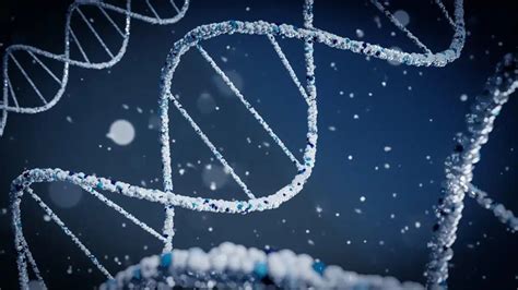Investigadores Publican El Primer Genoma Humano Completo
