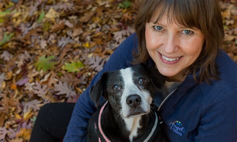 exploring life and business with tammy wynn of angel s paws voyage ohio magazine