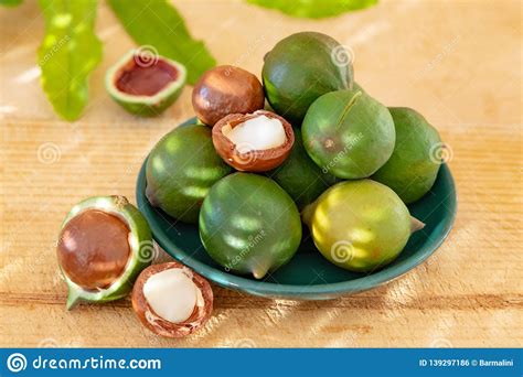 Macadamia is a genus of four species of trees indigenous to australia, and constituting part of the plant family proteaceae. New Harvest Of Ripe Fresh Australian Macadamia Nuts In ...