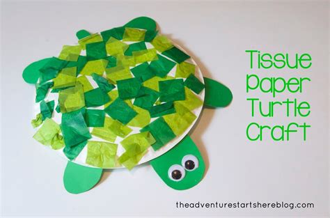 5 Fun Turtle Crafts Diy Thought Tissue Paper Turtle Craft Turtle