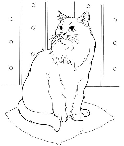 Realistic Cat Coloring Page