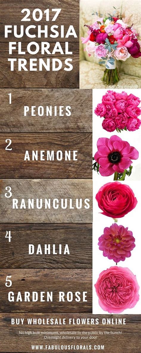 Fioretto cognomi di personaggi famosi: Fiori per colore - il rosa e il fucsia - Organizzazione ...