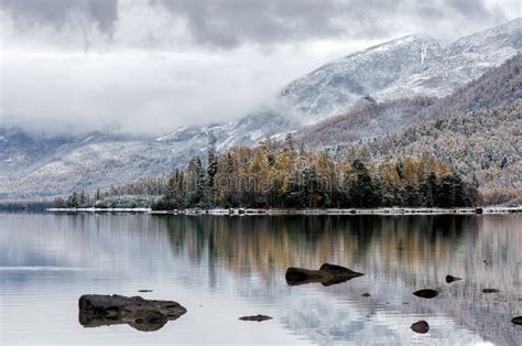 Mountain Lake Froliha Pine Tree And Stones With Snow At Mirror Lake
