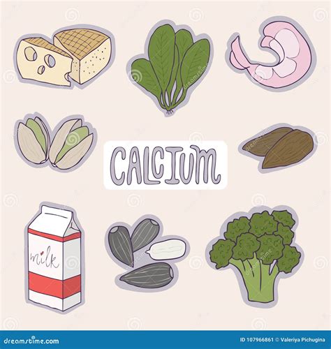 set of calcium foods healthy plan medical healthcare concept vector flat icon cartoon vector