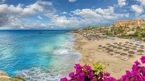 Costa Adeje Tenerife Book Tickets And Tours Getyourguide