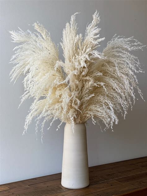 5 Pcs Ivory Pampas Grass 30 Tall Natural Home Office Decor Etsy