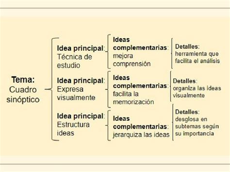 Significado De Cuadro Sinóptico Qué Es Concepto Y Definición