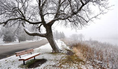 Benches On Winter Road Wallpaper Nature And Landscape Wallpaper Better
