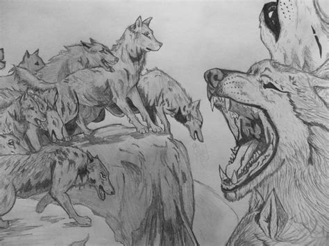 Wolf Pack Drawing At Explore Collection Of Wolf