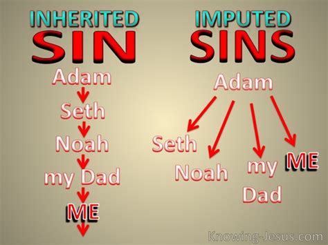 Sin And Sins Inherited Sin And Imputed Sins