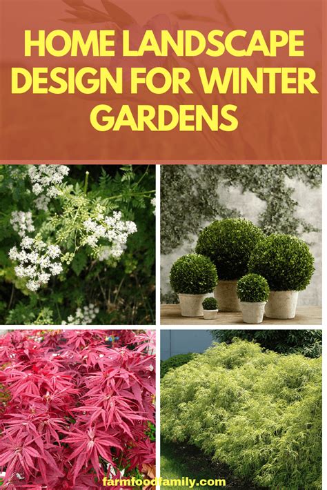 20 Home Landscape Design And Plants For Winter Gardens Winter Garden