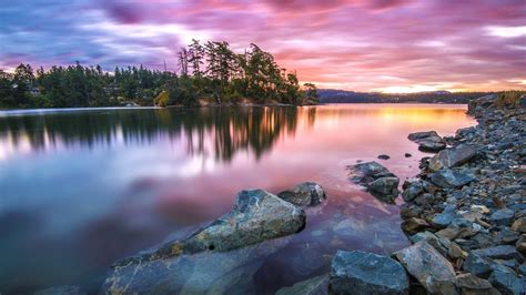Forest Sunset Reflected Clear Water Scenery Hd Wallpaper Preview