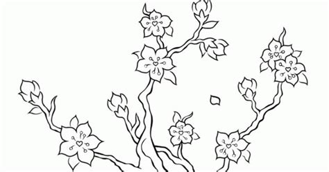 49 Gambar Sketsa Pohon Bunga Sakura