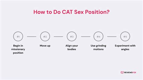 Cat Sex Position Everything You Need To Know About