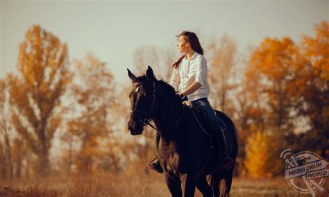 Where to Go Horseback Riding in Yellowstone | Media Drum World