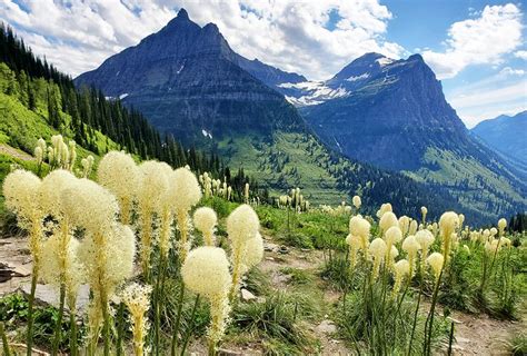 20 Top Rated Tourist Attractions And Things To Do In Montana Planetware