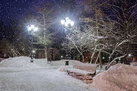 Winter Evening Stars Lamps Bench Post Park Trees Sky Lights