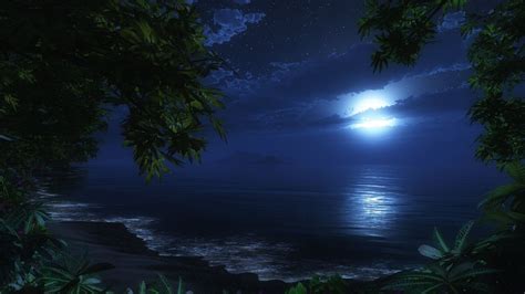 Sky Night Trees Tropical Jungle Ocean Wallpaper Night Skies