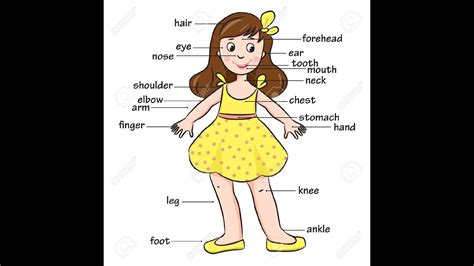 One game is with a picture where you need to label the the other game involves descriptions of parts of the body and you need to name them (parts of it can be purchased here: learn body parts song - 3d animation english nursery rhyme ...