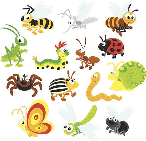 Gnat Bugs Drawing Illustrations Royalty Free Vector Graphics And Clip