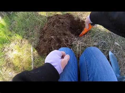 There's gold in them hills. There's Gold in them thar hills!! - YouTube