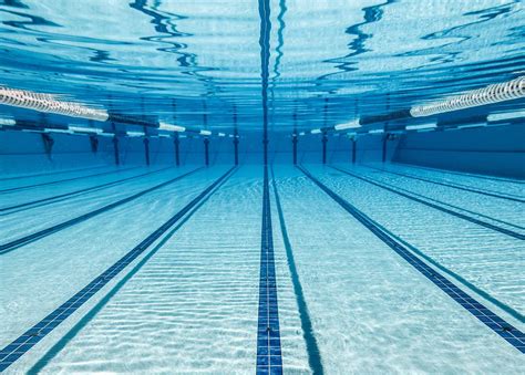 Un estudio reveló un dato que no vas a querer saber sobre las piscinas
