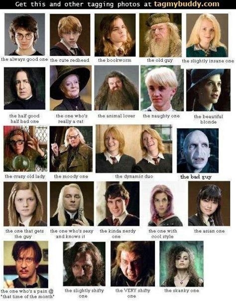 Harry Potter Characters In A Poster