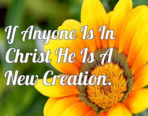 If Anyone Is In Christ He Is A New Creation Living For Jesus Alone