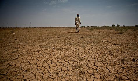 Sahel Les Changements Climatiques Une Aubaine Pour La Pluie Afrique