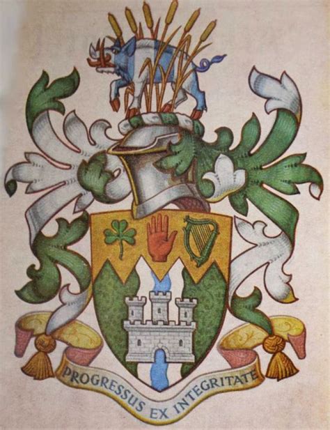 Coat Of Arms Crest Of Newcastle Down Coat Of Arms Alchemic
