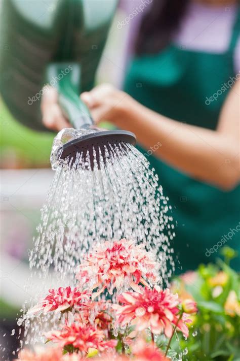 Woman Watering Flowers — Stock Photo © Wavebreakmedia 23092952