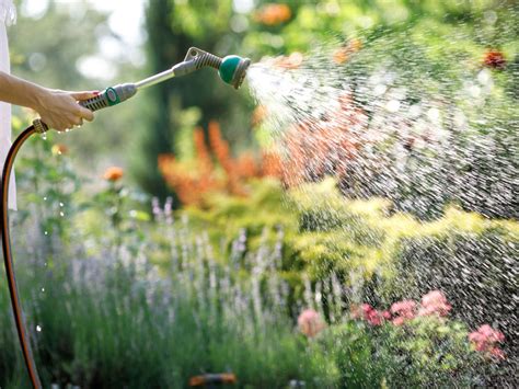 Hose End Sprayers How To Use Them For Efficient Watering Complete Guide